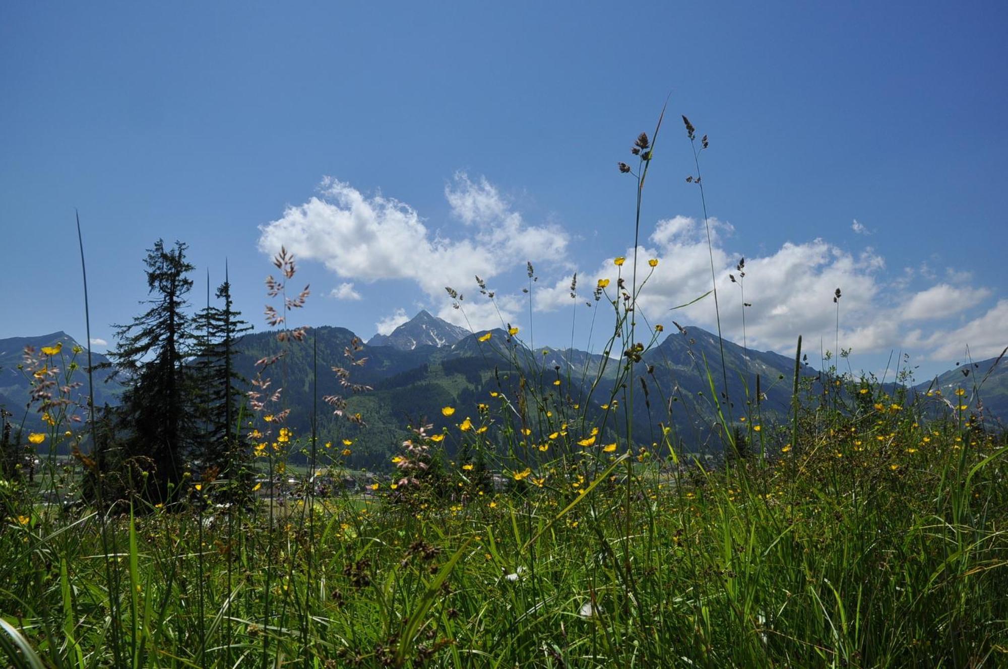 Landhaus Alpensonne 沙特瓦尔德 外观 照片